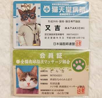 なめねこ　なめ猫　ダブりなし144枚 なめねこ なめ猫 ダブりなし144枚 Amazon | DIGKawaiiACTION